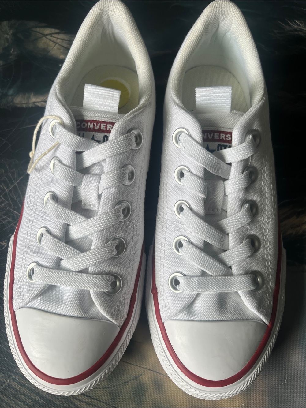 Converse Kids White Canvas Low Top Sneakers with Red Trim